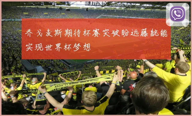 乔戈麦斯期待杯赛突破盼远藤航能实现世界杯梦想
