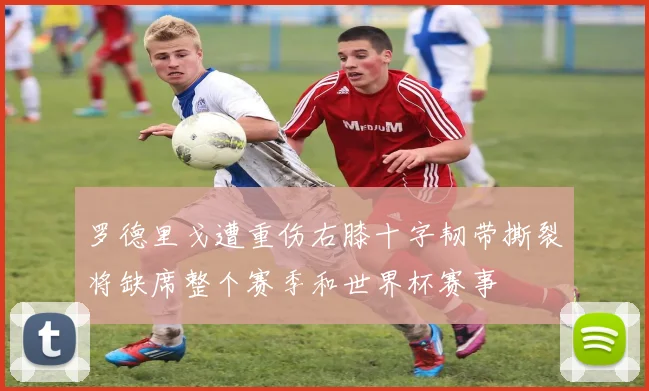 罗德里戈遭重伤右膝十字韧带撕裂将缺席整个赛季和世界杯赛事